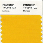 pantone_2009